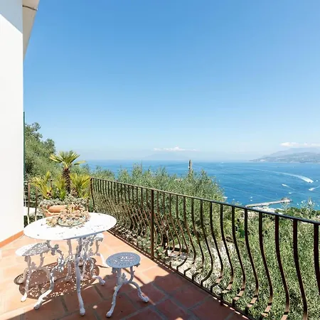 Ginestra By Elite *