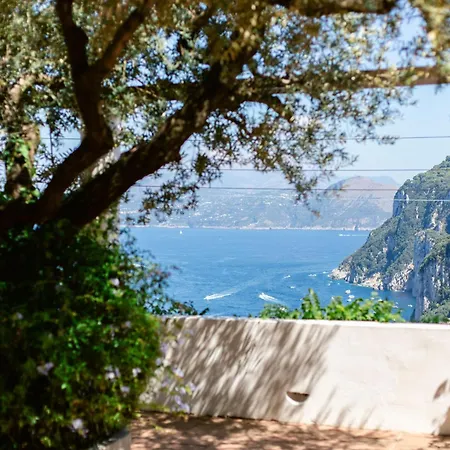 Ginestra By Elite Capri