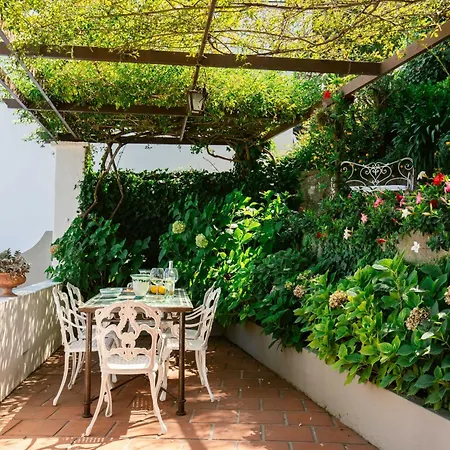 Ginestra By Elite